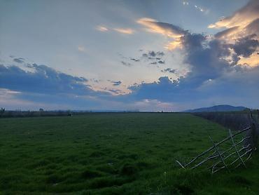 Torpaq sahələrinin satışı: Kənd təsərrüfatı — 3