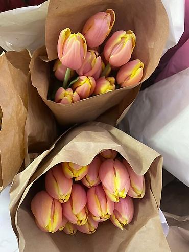 Букеты из живых цветов: Тюльпаны в крафт-упаковке - Срезанные тюльпаны с плотным бутоном — 9