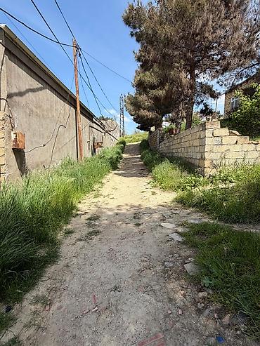 Torpaq sahələrinin satışı: Tikinti — 11