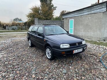 Volkswagen: Volkswagen Golf: 1994 г., 1.8 л, Механика, Бензин, Универсал