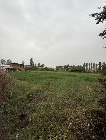 бишкек продаю дом село ак жар 2023: 20 соток, Для сельского хозяйства, Красная книга, Договор купли-продажи