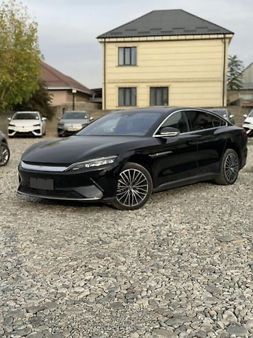 BYD: BYD Han: 2022 г., Автомат, Электромобиль, Фастбек — 3