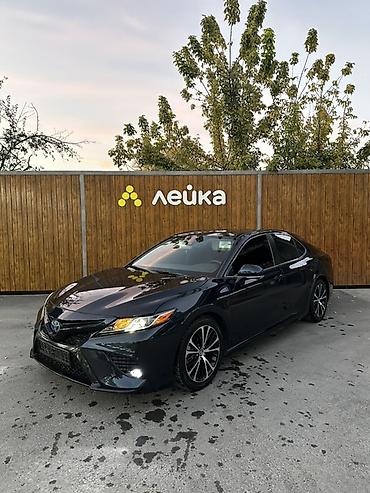 camry 2020: Toyota Camry: 2019 г., 2.5 л, Автомат, Гибрид, Седан — 5
