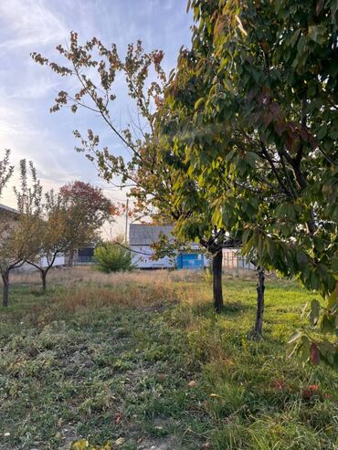 прадаю дом село васток: 5 соток, Для строительства, Красная книга, Тех паспорт, Договор купли-продажи