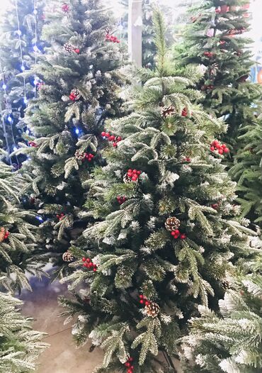 Yeni il ağacları: Yolka satisi teze mallar Endirimde 90 sm-19 man 120 sm-35man 150 — 3