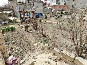 Torpaq sahələrinin satışı: Tikinti — 7