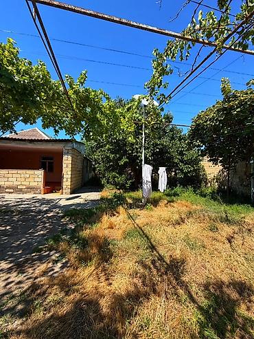 bilgəh bağ evləri: 2 otaqlı, 67 kv. m, Kredit yoxdur, Orta təmir — 2