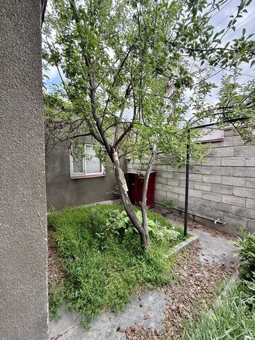 керек кж продажа домов г каракол: Дом с двором и навесом для авто. *🏡 Продается дом барачного типа *