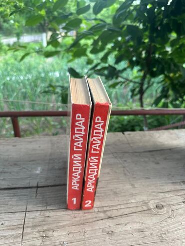 Художественная литература: Классика, На русском языке — 16