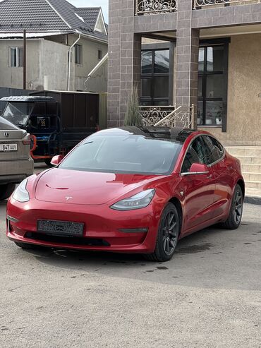 Tesla: Tesla Model 3: 2019 г., 5.5 л, Автомат, Электромобиль, Седан — 3