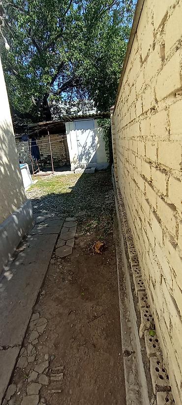 базарить: Продаю пол дома в хорошем районе чекиш ата рядом аламедин и дордой — 4
