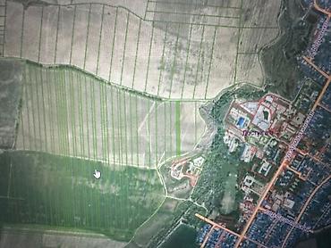 тынчтык ж м: 685 соток, Айыл чарба үчүн — 3