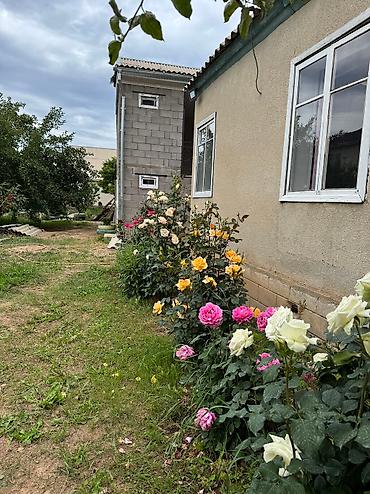 Ысык-Көлдө эс алуу: Ысык-Көлдө конок үйү, Кажы-Сай, 10+ орун, Күнүмдүк — 3