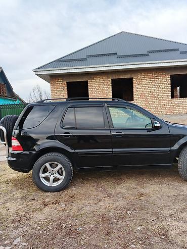 smart open: Mercedes-Benz ML-Class: 2003 г., 3.7 л, Автомат, Бензин, Внедорожник — 2