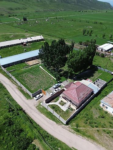 ферма купить: Кошара, 50 соток, Действующий, Частично с оборудованием, Электричество, Канализация, Отопление — 8