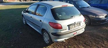 putnicki kombi: VRATA EYLC BOJA ZA PEUGEOT 206 | Vrata za peugeot 206 u EYLC — 1