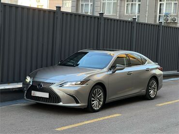 бампер лексус 330: Lexus ES: 2019 г., 2.5 л, Вариатор, Гибрид, Седан