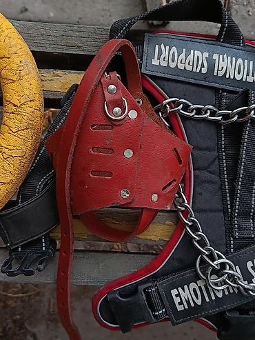 Зоотовары: Продам аксессуары для собаки 🐕 Большинство вещей использовались совсем — 4