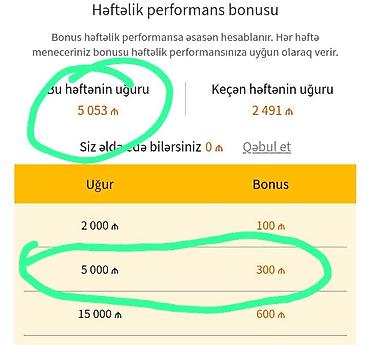 Digər idman və istirahət malları: Xidmət: Həftəlik performans bonusu kalkulyatoru və izləmə paneli — 1