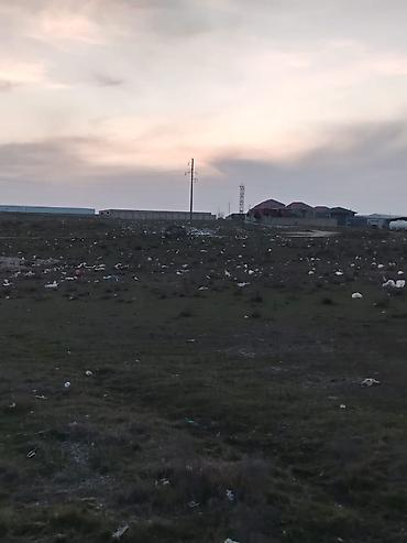 binə mehriban qonşular: 34 sot, Kənd təsərrüfatı, Kupça (Çıxarış) — 3