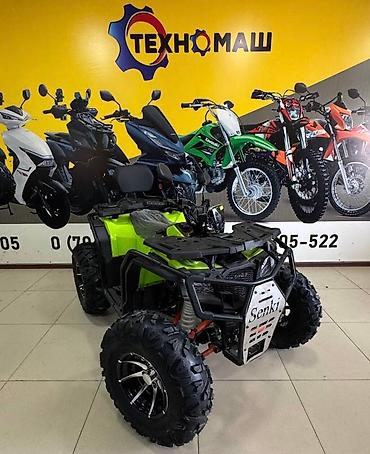 250: Квадроцикл Бензин, 250 куб. см, Взрослый — 5