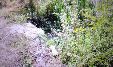 Torpaq sahələrinin satışı: 74 sot, Kənd təsərrüfatı, Mülkiyyətçi, Kupça (Çıxarış) — 4