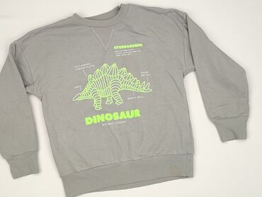 Sweatshirt, SinSay, 7 years, 116-122 cm, condition - Very good