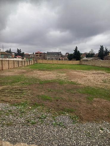 oğuz torpaq: 10 sot, Biznes üçün, Mülkiyyətçi, Kupça (Çıxarış), Bələdiyyə, Texniki pasport — 1