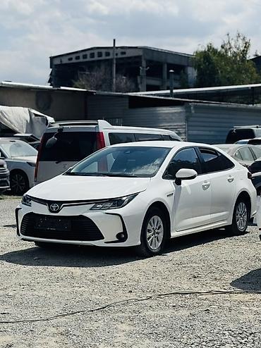 ночной прибор: Toyota Corolla: 2022 г., 1.8 л, Вариатор, Гибрид, Седан — 2