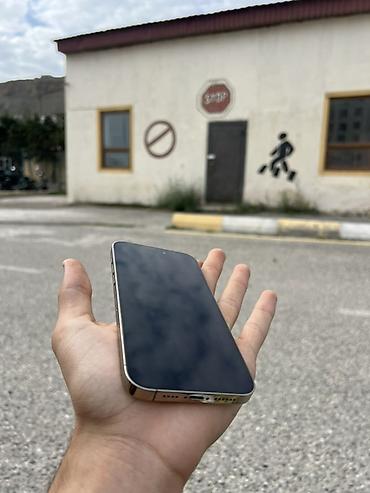 iphone mini 16 pro max: IPhone 14 Pro Max, 256 GB, Matte Gold, Face ID — 7