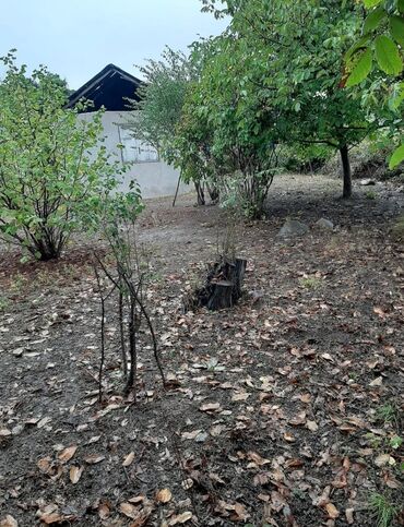 xankəndi kirayə ev: 10 sot, Tikinti, Mülkiyyətçi, Kupça (Çıxarış)