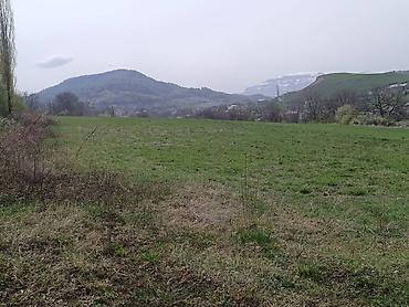 d4 50: 15 sot, Kənd təsərrüfatı, Mülkiyyətçi, Kupça (Çıxarış), Texniki pasport — 10