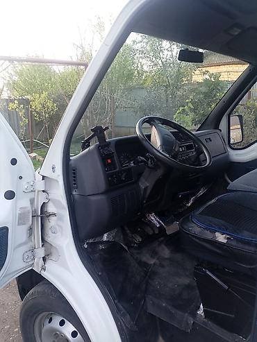 Fiat: Fiat Ducato: 2 l | Mikroavtobus — 7