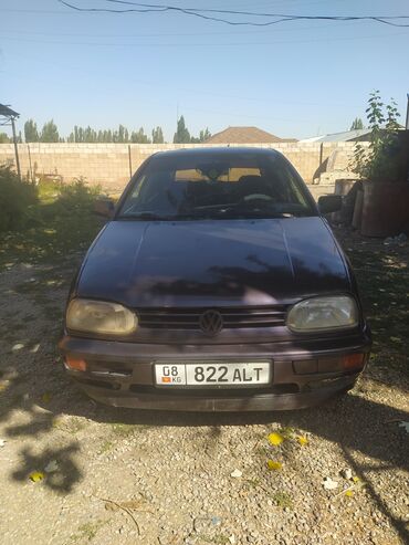 меняю на гольф: Volkswagen Golf: 1991 г., 1.8 л, Механика, Бензин