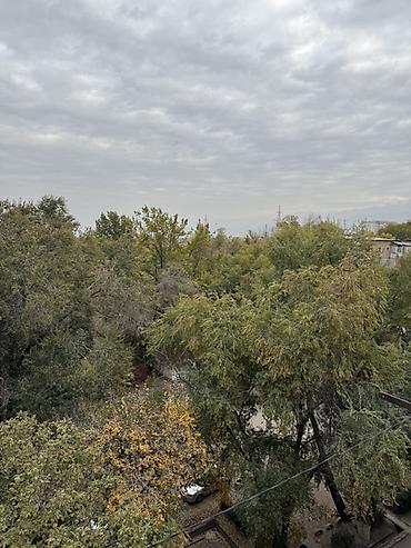 well home: 2 комнаты, 50 м², Индивидуалка, 6 этаж, ПСО (под самоотделку) — 4