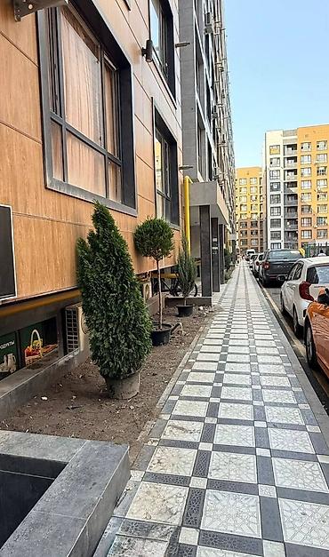 Недвижимость: 1 комната, 52 м², Технопарк 108 серия, 7 этаж — 2