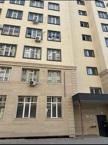 64: 1 комната, 36 м², парк Фучика Элитка, 2 этаж, Косметический ремонт — 2