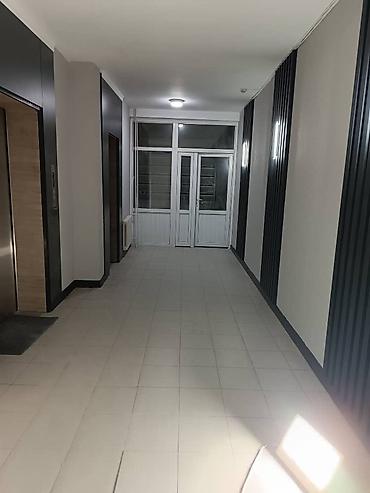 Покраска: Полимерная покраска, Покраска окон, Покраска потолков, На водной основе, На масляной основе, 3-5 лет опыта — 12