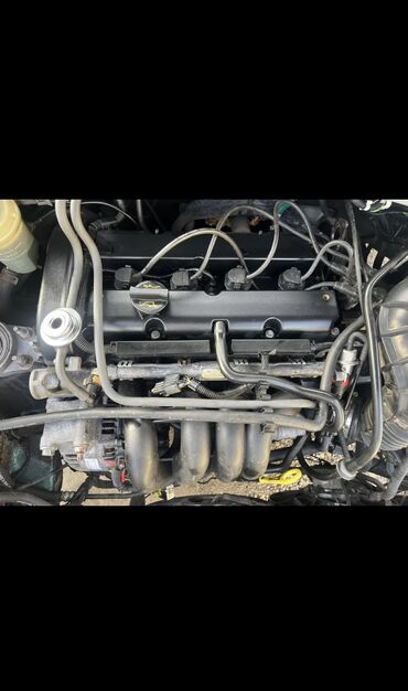 Двигатели, моторы и ГБЦ: Бензиновый мотор Ford 2001 г., 1.6 л, Б/у, Оригинал