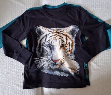 Paketi dečije odeće: Paket: Majice, Za dečake — 5