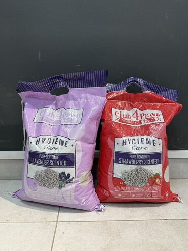 купить корм акана для кошек: Комкующийся наполнитель ================= Club4 Paws (5кг)