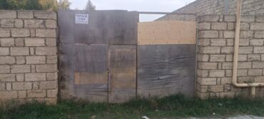 xəzər rayonu binə qəsəbəsi: 3 sot, Kənd təsərrüfatı, Maklerlər narahat etməsin, Kupça (Çıxarış)