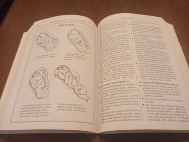 Knjige i stripovi: Naslov: Šta da očekujete dok čekate bebu Autor: Sendi Hetavej, Arlin — 10