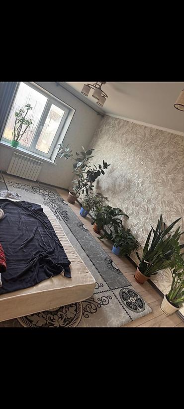 Продажа коттеджей и домов: Продаю двух этажный дом + 1.5 га земли орошаемойземля шикарная — 15