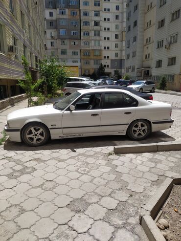 шпатлёвка авто: BMW 5 series: 1995 г., 2.8 л, Механика, Бензин, Седан