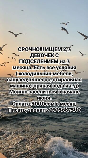 сдается хата: 1 комната, Собственник, С подселением, С мебелью полностью