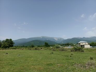 Torpaq sahələrinin satışı: 12 sot, Biznes üçün, Mülkiyyətçi, Kupça (Çıxarış)