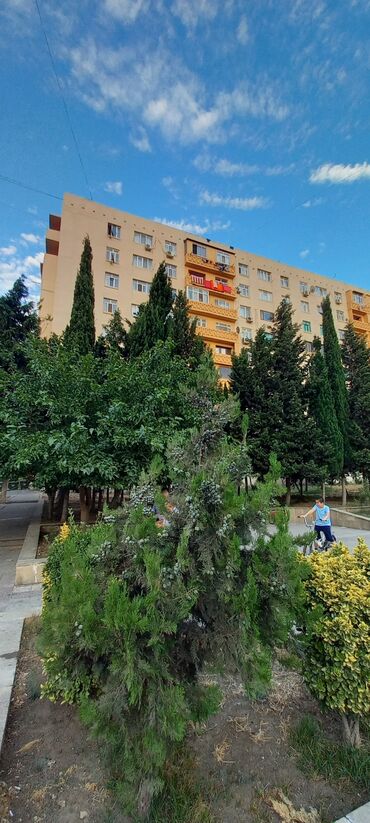 zaqatalada satilan heyet evleri 2020 ci il v Azərbaycan | Yeni il ağacları: 2 otaqlı, 53 kv. m, Kupça (Çıxarış)