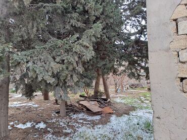 Kommersiya daşınmaz əmlakının satışı: 25 SOT TORPAQ SAHESI SATILIR!!! icinde 200 kvd liq tikili -da lalafo.az — 3 Kommersiya daşınmaz əmlakının satışı: 25 SOT TORPAQ SAHESI SATILIR!!! icinde 200 kvd liq tikili — 3