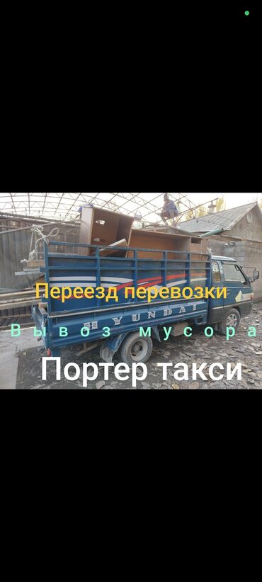 Птицы: Портер такси портер такси портер такси портер такси портер такси